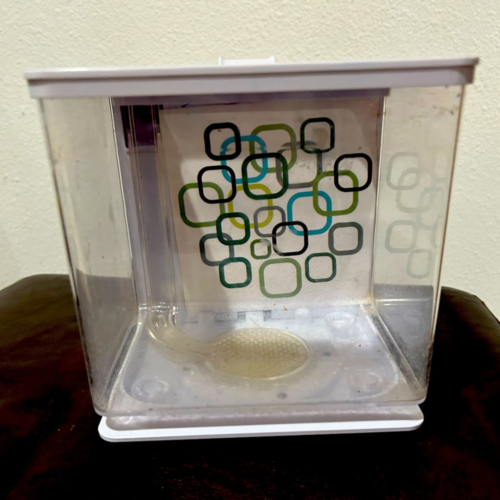 Beta fish tank